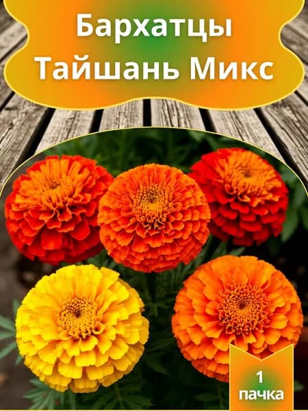 Бархатцы прямостоячие "Тайшань Микс"(семена)