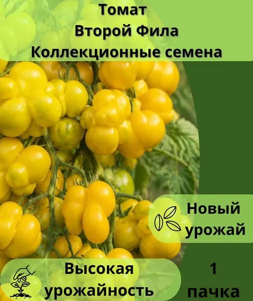 Коллекционные семена томата Второй Фила, 1пачка