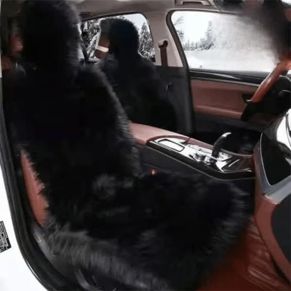 Автомобильный чехол