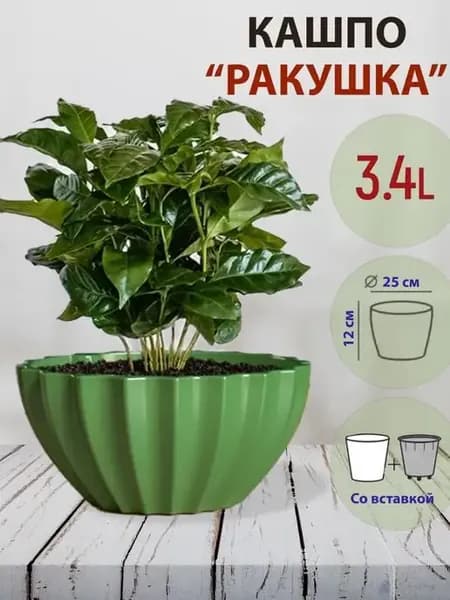 Кашпо Ракушка объем 3,4л с прикорневым поливом