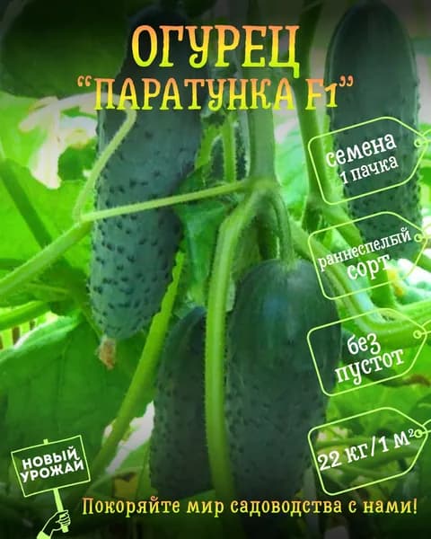 Огурец Паратунка F1, семена, 10 шт.