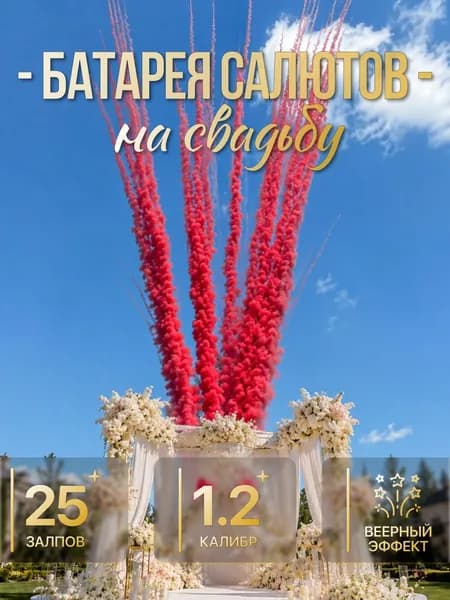 Дневной веерный салют на Свадьбу, Красный, 25 зарядов