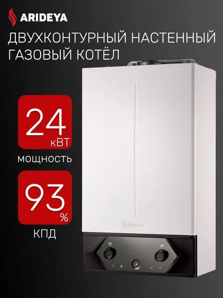 Настенный газовый двухконтурный котел ARIDEYA GRAND - 24 FF
