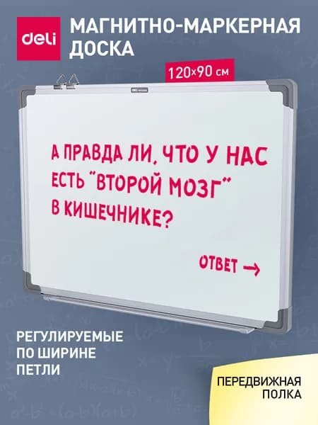 Доска демонстрационная магнитно-маркерная на стену для офиса и дома Deli, 90x120 см, лак белый, алюминиевая рама Уцененный товар