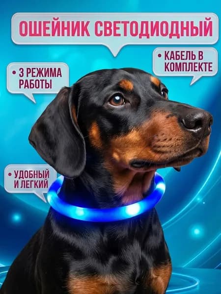 Светодиодный ошейник для собак мелких и средних пород, светящийся