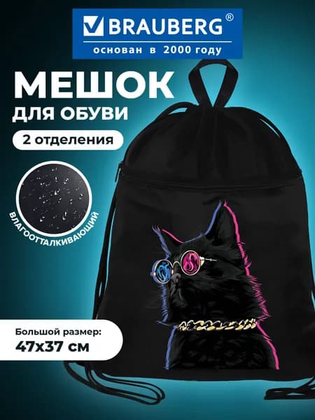 Мешок для обуви для девочки, сумка для сменной обуви Brauberg, с петлёй, карман на молнии, полиэстер, 47х37 см, Movie time