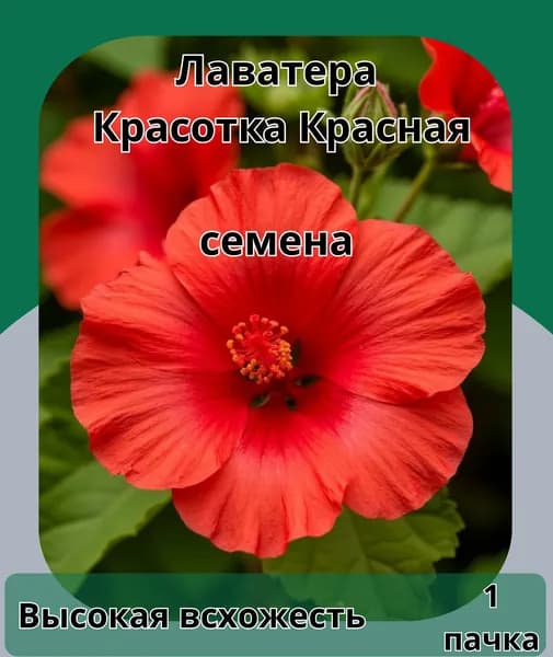 Лаватера красотка красная, семена 10шт