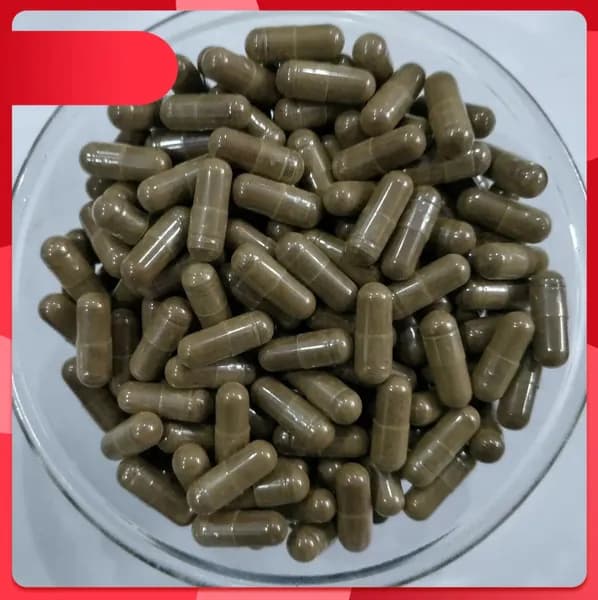 10: 1 экстракт цистанхе омолаживающий 500 мг*100 капсул Organic Cistanche Tubulosa Extract Capsule