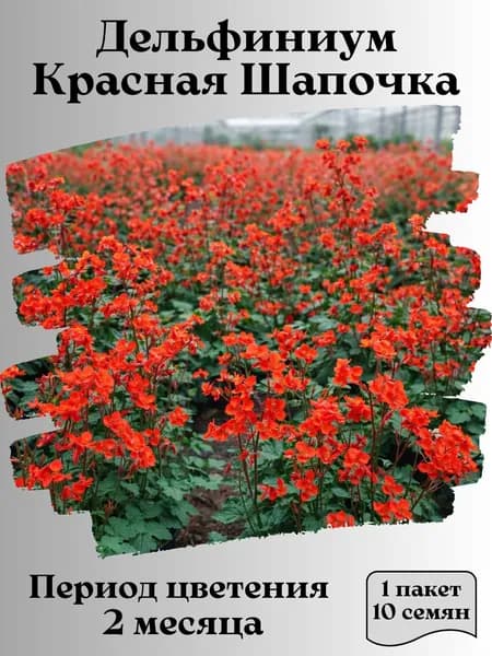 Дельфиниум Красная Шапочка, семена, 10 шт.