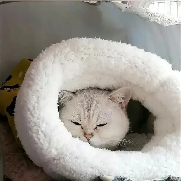 Кошачий и собачий спальный мешок, зимний теплый, ягненок, гнездо для домашних животных, мелкие животные до 15 кг общий..
