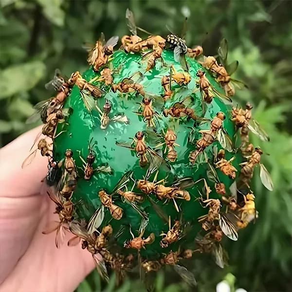Ловушка для садовых вредителей
