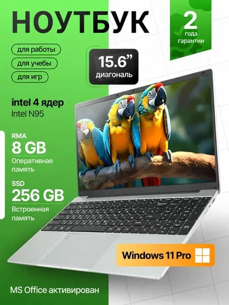 XISEZIUO ASUS Ноутбук 15.6", Intel N95, RAM 8 ГБ, SSD 256 ГБ, Intel HD Graphics, Windows Pro, серебристый, Русская раскладка