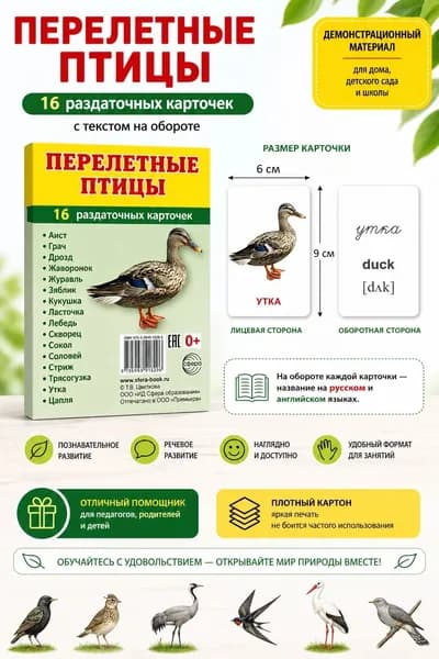 Раздаточные карточки "Перелетные птицы" (16 шт, размер 9*6см) | Цветкова Татьяна Владиславовна