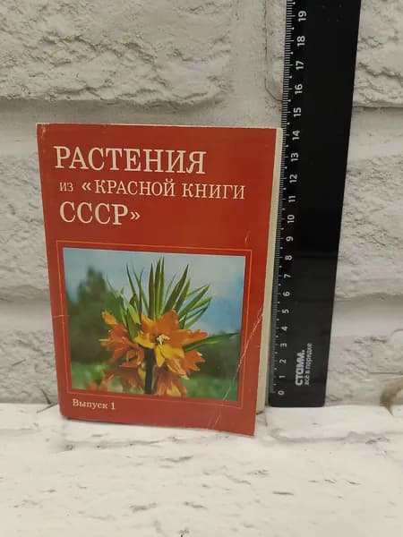 Канцелярия антикварная винтажная Набор из 25 открыток Выпуск I Растения из Красной книги СССР
