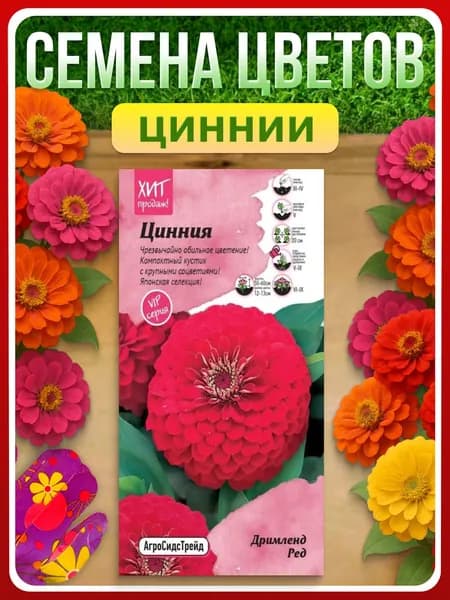 Семена Цинния "Дримленд Ред", 5 шт, однолетние цветы, для дачи и сада, для клумбы и бордюра, в открытый грунт и контейнеры