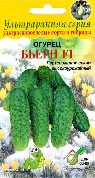 Огурец Бьерн F1, 6 семян