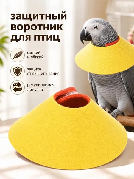 Защитный ошейник от укуса птицы