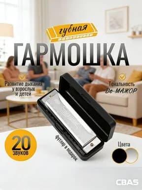 Губная гармошка диатоническая, серебряная