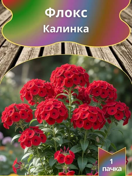 Флокс Калинка , семена 10 шт.