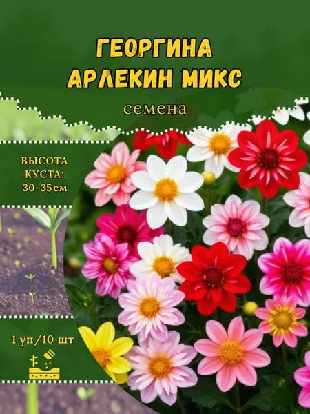 Георгина "Арлекин Микс" семена, 1 пачка