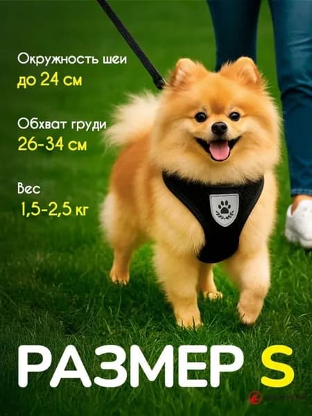 Шлейка для кошек собак мелких пород с поводком, размер S