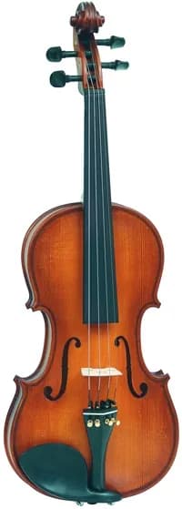 Скрипка Vasile Gliga S-V044
