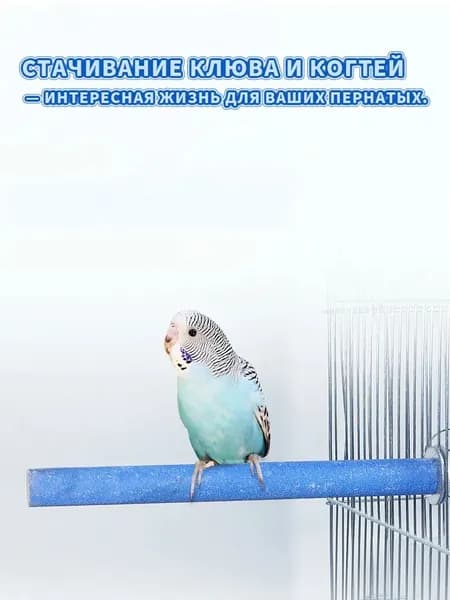Жердочка