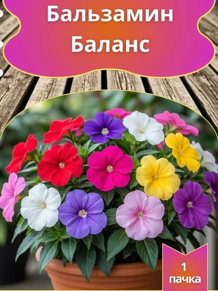 Бальзамин Баланс (семена)