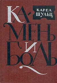 Камень и боль | Шульц Карел