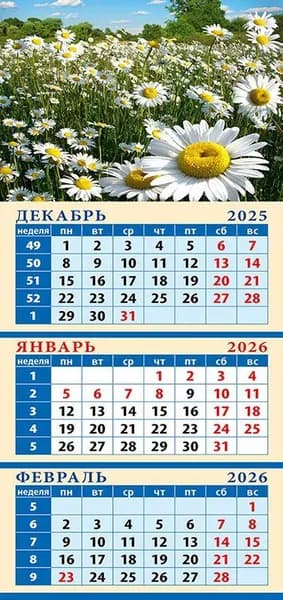 Календарь 2026 г., Магнитный