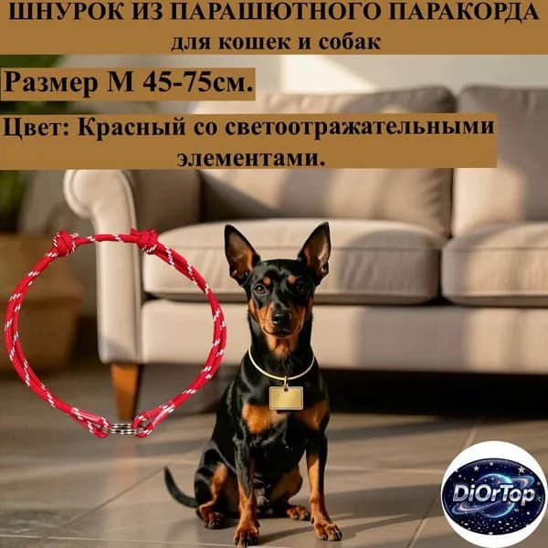 Шнурок для адресника, Красный со светоотражающими элементами, обхват шеи 45 - 75 см.