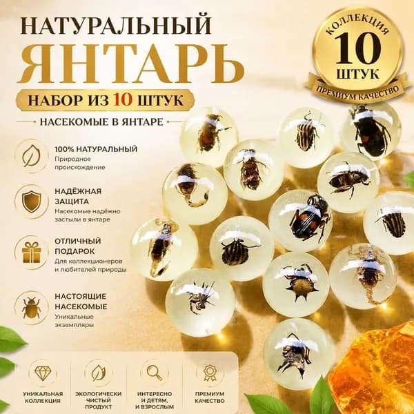 Набор из 10 натуральных янтарных шаров с настоящими насекомыми, коллекция