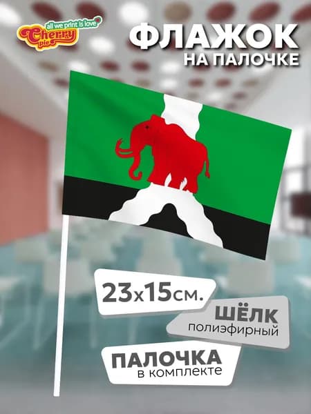 Флаг 23x15 на палочке Нижнее Галино (Пермский край)