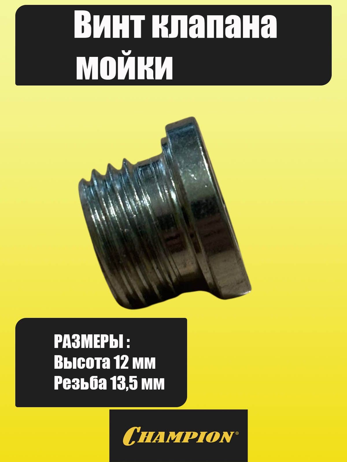 Винт заглушка клапана выпускного мойки HP3250