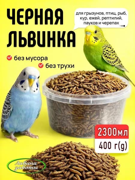 Цельные сухие личинки BSF 400грамм