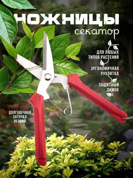 Секатор