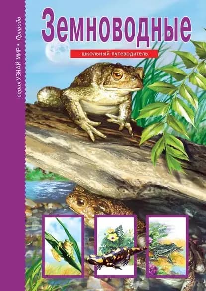 Земноводные | Голубева Екатерина Борисовна | Электронная книга