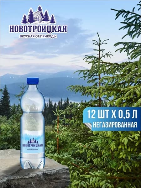 Вода минеральная Новотроицкая негазированная, 12 шт х 0,5 л
