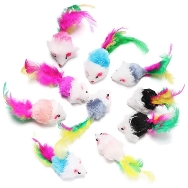 10Pcs Котята