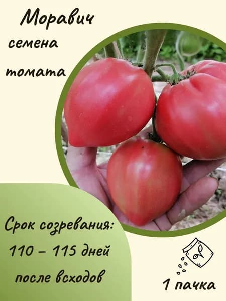 Коллекционные семена томата Моравич, 10 шт семян