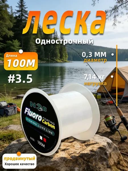 NGB Флюорокарбоновая леска для рыбалки, размотка: 100 м, толщина: 0.3 мм