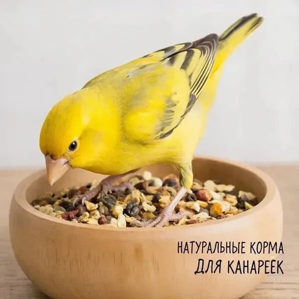 Зерновая смесь для канареек MIKIMEALS 400 гр