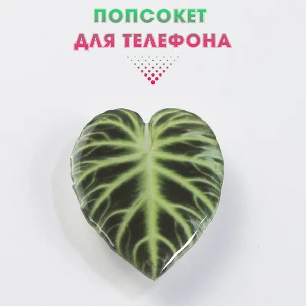 Попсокет для телефона лист / Держатель для телефона - Попсокет / зеленый лист