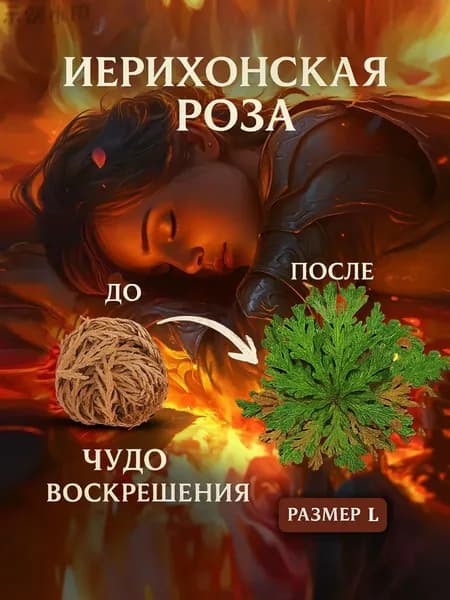 Воскрешение сухих цветов/Восстанавливает цвет при попадании воды,1 шт