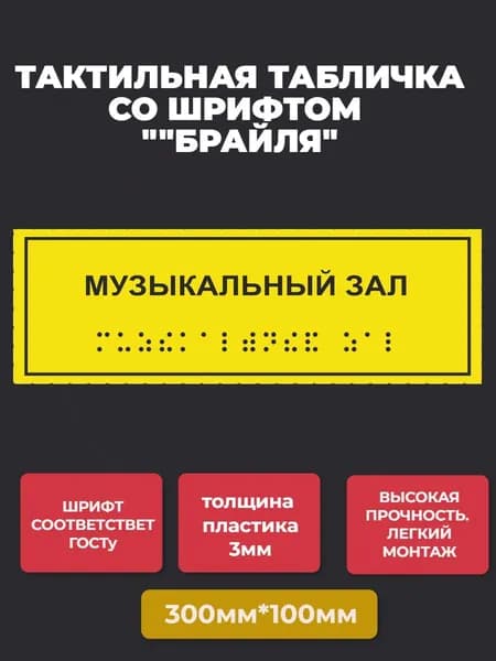 Тактильная табличка со шрифтом Брайля "МУЗЫКАЛЬНЫЙ ЗАЛ" 300*100мм на ПВХ 3мм