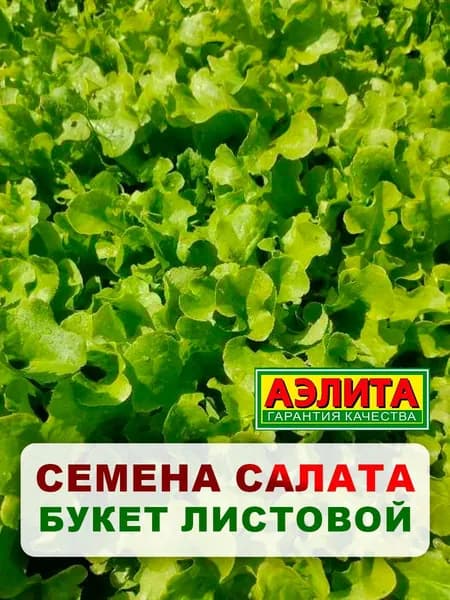 Семена салат "Букет листовой", 0,5 г, для дома, дачи и огорода, салат из семян, в открытый грунт