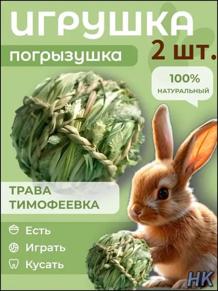 Травяной шар для грызунов 2 шт., игрушка-лакомство из тимофеевки, шар для сточки зубов, натуральная погрызушка для кролика и морской свинки, сено для кролика,
