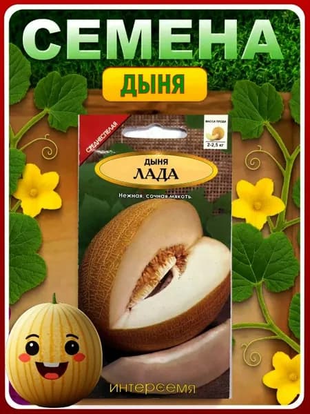 Семена дыня Лада
