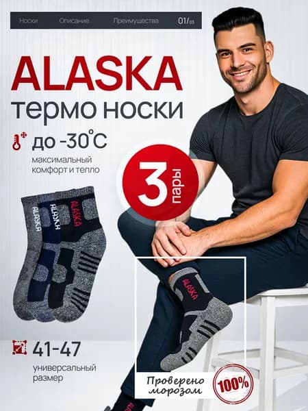 Носки Аляска мужские, 3 пары