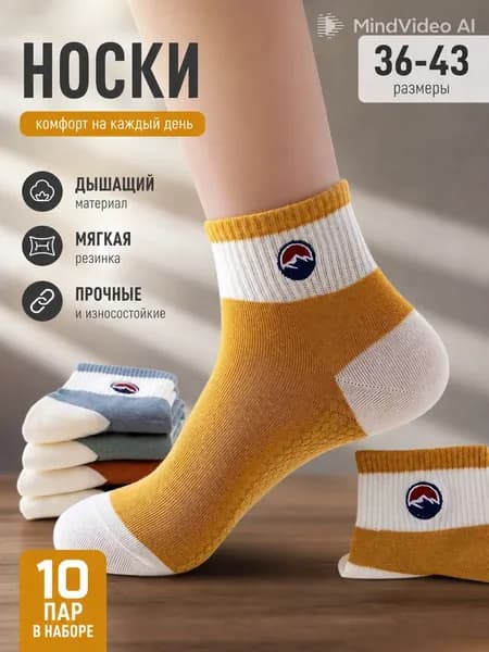 Носки мужские, 10 пар